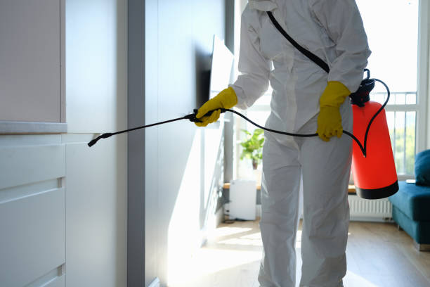 Best Pest Prevention Services  in Congress, AZ